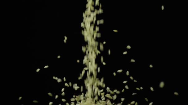 Untreated rice pours from above slow mo - Footage, Video
