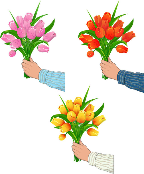 Tulips in the hand of man - Vector, Image