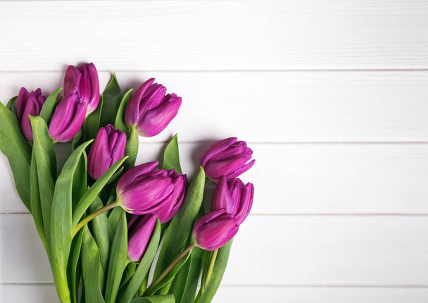 Purple tulips on the white wooden bakcground - Zdjęcie, obraz