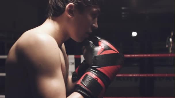 Latin Boxers doing some training on a punching bag at a gym. Slow motion. - Filmagem, Vídeo