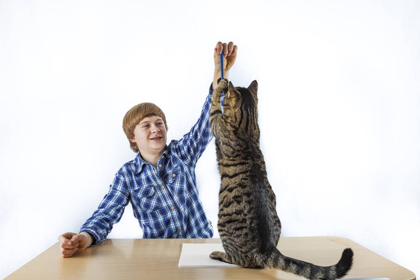 smart boy learning for school has a break and plays with his cat - Photo, Image