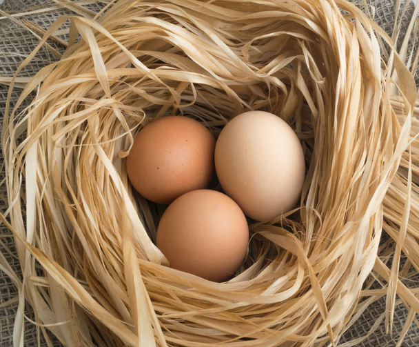 Nest of Dry Grass and Three Brown Chicken Eggs - Foto, Imagen