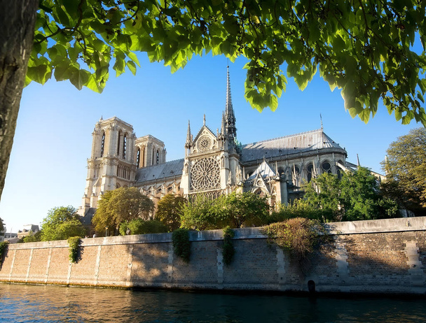 Majestuosa Notre Dame
 - Foto, imagen