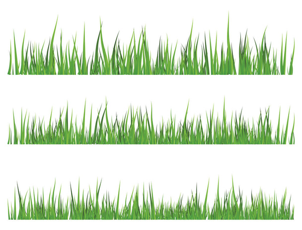 Zelená tráva, samostatný vektor symbol ikonu design.  - Vektor, obrázek