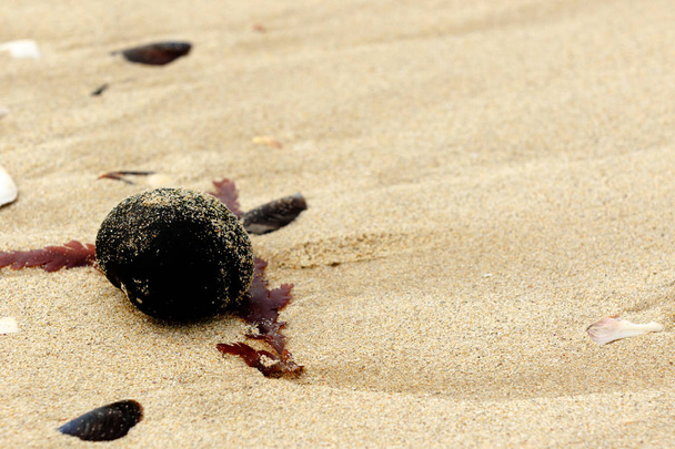 Μαύρη Θάλασσα μπάλα για τον Γιόζεφ Μπεχ inport Αγίου Φραγκίσκου - Φωτογραφία, εικόνα
