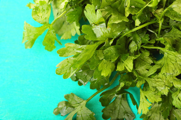 Twig of parsley background - Foto, immagini