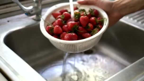 Cleansing strawberry by fresh water - Footage, Video