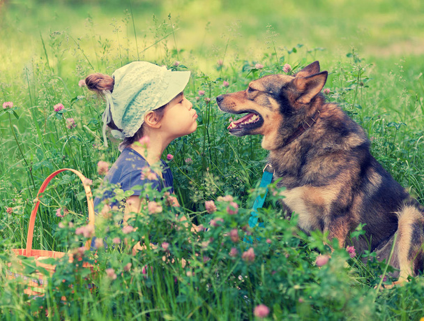Little girl is playing with a dog - Foto, imagen