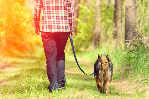 Woman with dog walking in the forest  - Zdjęcie, obraz