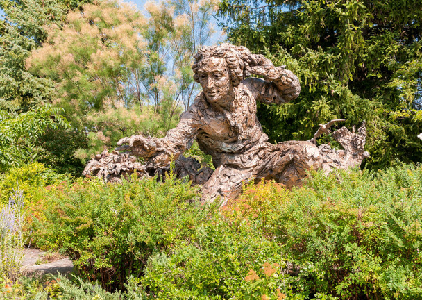 Escultura de bronce de Carolus Linnaeus en el Jardín Botánico de Chicago, EE.UU.
 - Foto, imagen