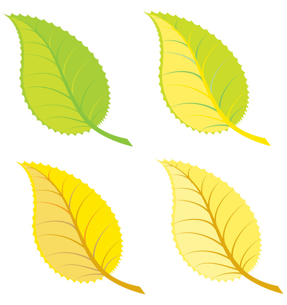 Ilustración de hojas coloridas
 - Vector, imagen