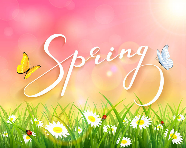 Pink spring background with grass and flowers - Vector, Image