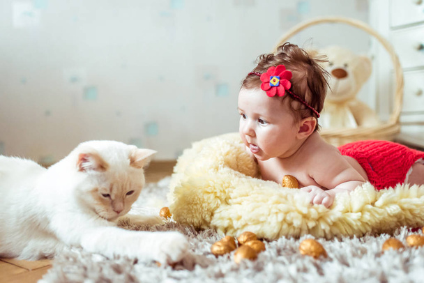 bebé acostado en una manta y mirando a un gato
 - Foto, imagen