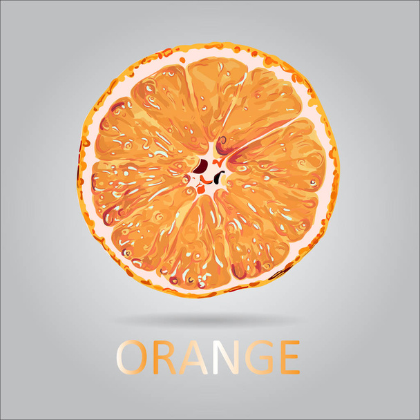 Vector Orange Slice - Wektor, obraz