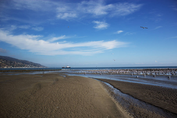 Пляж Малибу Лагун в Малибу, Калифорния
 - Фото, изображение
