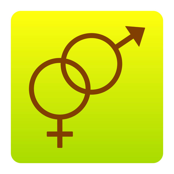 Σημάδι σύμβολο του σεξ. Διάνυσμα. Καφέ εικονίδιο στο πράσινο-κίτρινο διαβάθμισης τετράγωνο με στρογγυλεμένες γωνίες σε άσπρο φόντο. Απομονωμένη. - Διάνυσμα, εικόνα