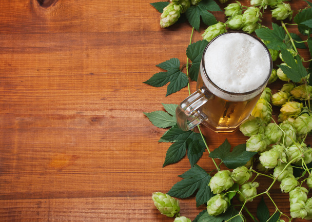 Beer and hop - Photo, Image