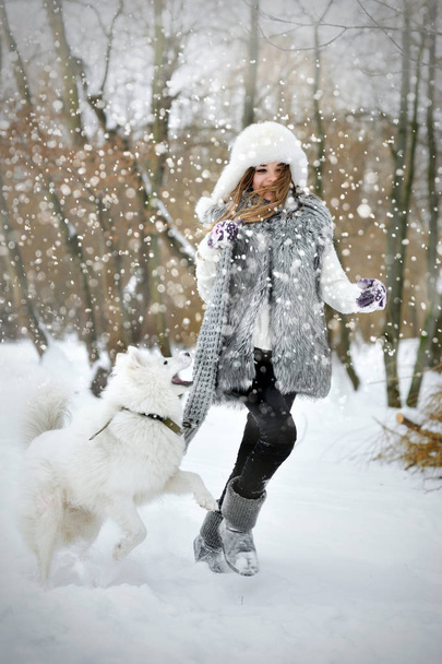 Blanc husky avec fille courir dans la neige
 - Photo, image
