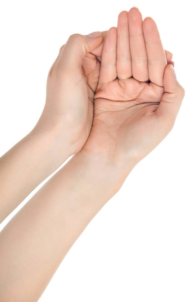 Вытянутая рука женщины изолирована на белом фоне. Open pal
 - Фото, изображение