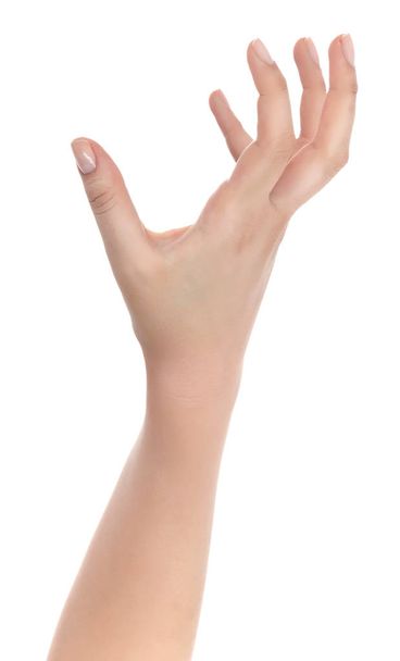 Stretched hand of woman isolated over white background. Open pal - Photo, Image