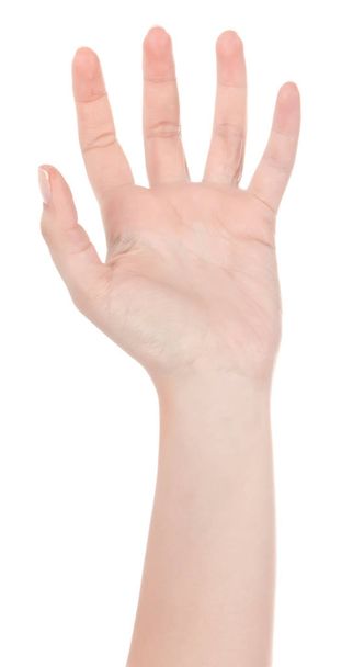 Stretched hand of woman isolated over white background. Open pal - Photo, Image