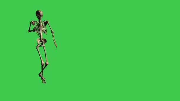  Skelet Walking Hurt - Gescheiden op groen scherm - Video