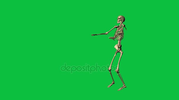  скелет вправи карате - окремо на зеленому екрані
 - Кадри, відео