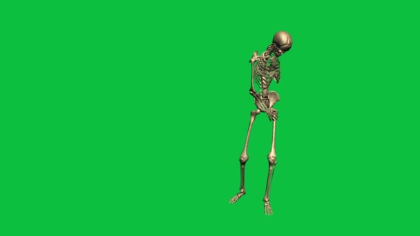 3d animation of skeleton fall - separate on green screen - Footage, Video