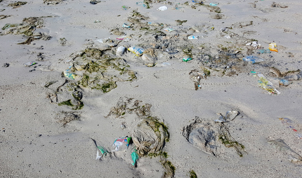 basura contaminación de la playa en la playa
 - Foto, Imagen