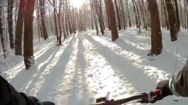 Cycling in snowy forest - Footage, Video