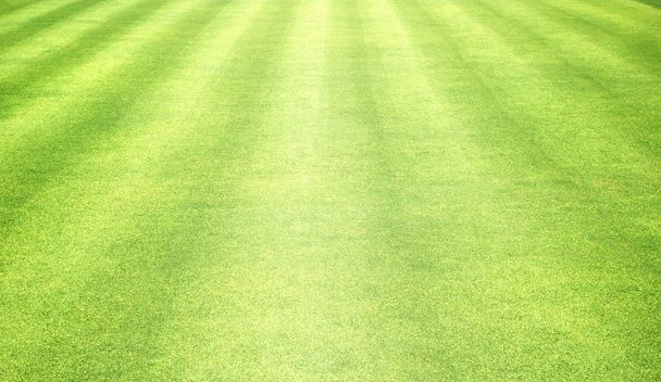 grama fundo campos de golfe gramado verde
 - Foto, Imagem