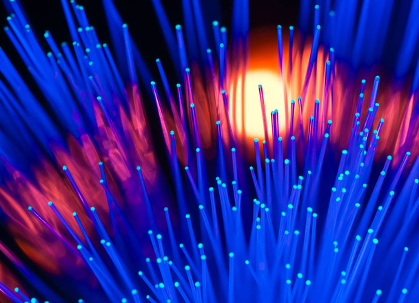 üvegszálas optikai hálózati kábel - Fotó, kép