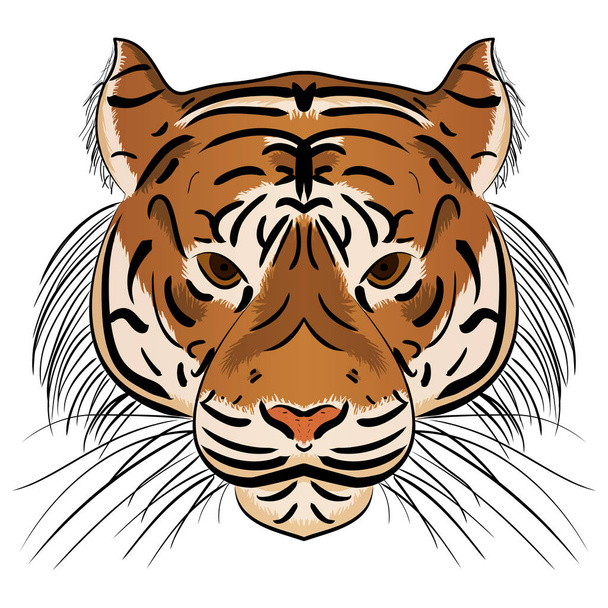 Векторні ілюстрації голова лютий тигр
 - Вектор, зображення