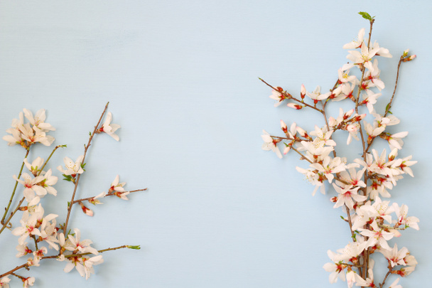 image of spring white cherry blossoms tree - Foto, Imagen
