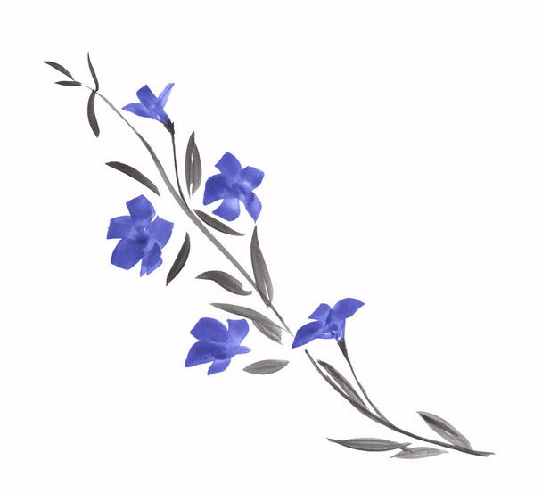 Wild blue flower. Watercolor painting. Image on a white background. Isolated - 写真・画像