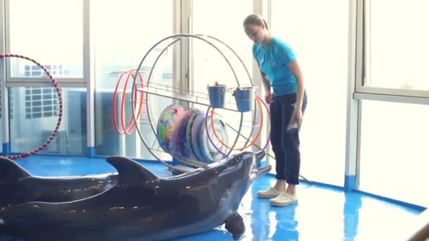 Uma jovem mulher alimentando dois belos golfinhos deitados no chão câmera lenta
 - Filmagem, Vídeo