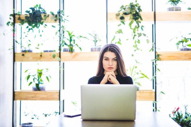 Portret kobiety atrakcyjny biznes siedzi w łańcuch i pracę na laptopie online. - Zdjęcie, obraz
