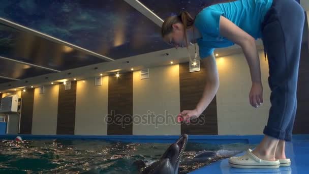Három delfinek játszanak a vízben, várakozás-re egy élvezet-lassú mozgás - Felvétel, videó