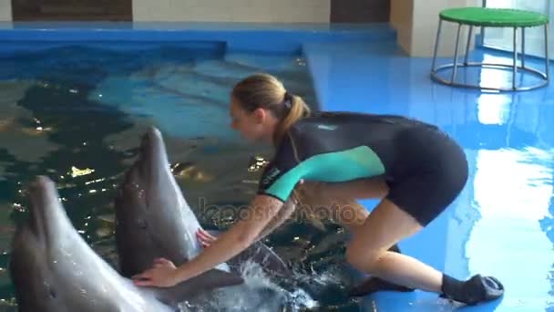 Mulher nadando sobre os golfinhos segurando suas barbatanas câmera lenta
 - Filmagem, Vídeo