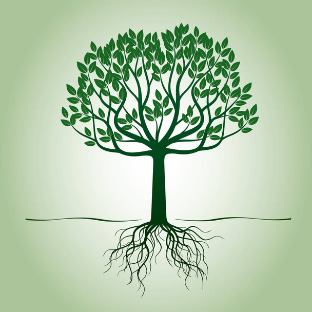Grüner Baum mit Wurzeln. Vektorillustration. - Vektor, Bild