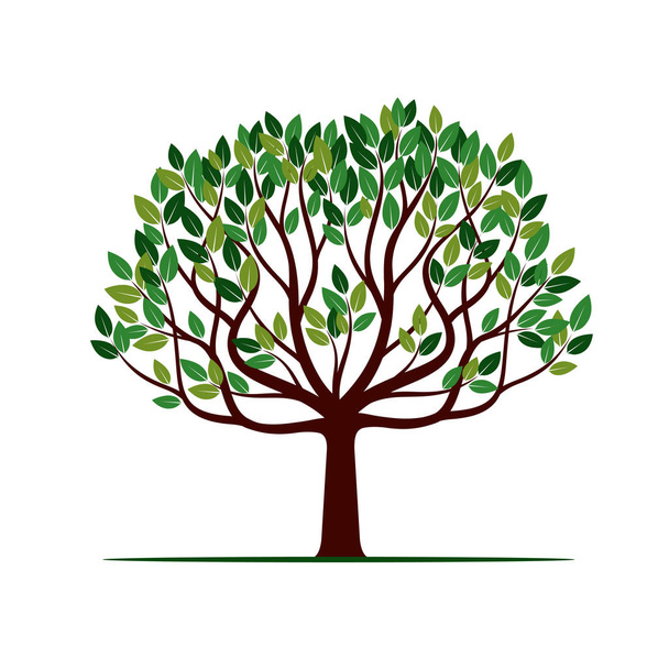 Green Tree with Leafs. Vector Illustration. - Вектор,изображение