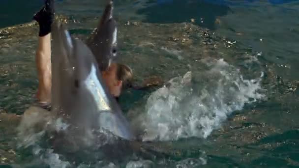 Woman rotating with dolphins holding their fins in the pool slow motion - Footage, Video
