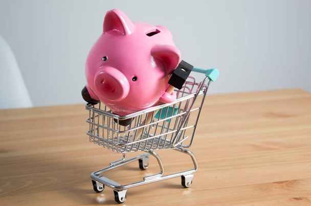 Piggy bank on a miniature shopping cart - Фото, зображення