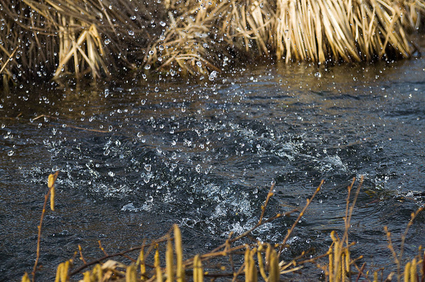 Powietrzu krople wody w rzece ruchu  - Zdjęcie, obraz