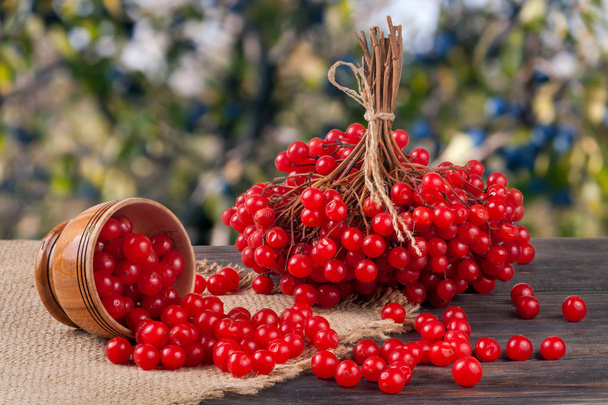 спелые красные ягоды вибурнума в деревянной чаше на столе с размытым садовым фоном
 - Фото, изображение