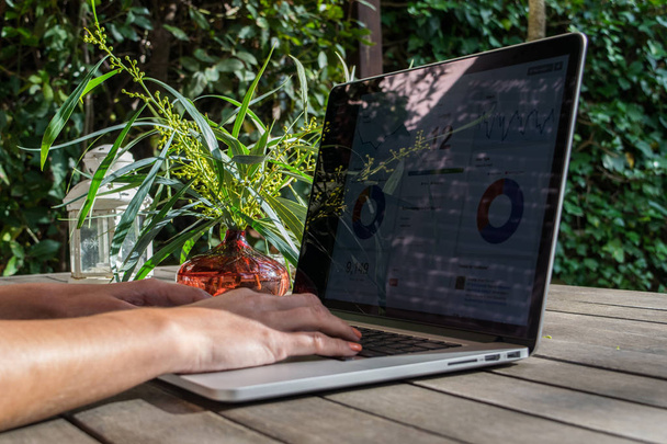 Analitik grafik üzerinde Bahçe, Danışma ile dizüstü bilgisayar kullanarak kadının elleri çalışmak temiz hava üzerinde serbest meslek - Fotoğraf, Görsel