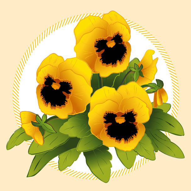 Pansy Flowers Bouquet, Gold - Vector, Image
