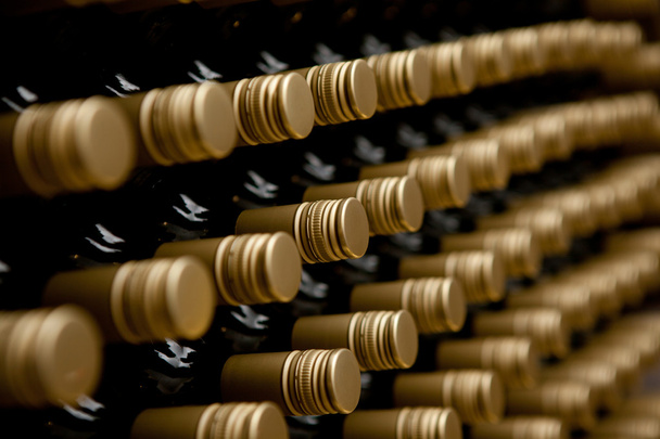 şarap şişeleri şarapçılık - Fotoğraf, Görsel