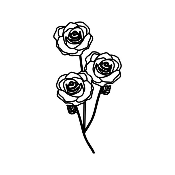 sketch silhouette bouquet roses floral icon - Vector, Image