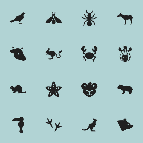 Sada 16 upravitelné zoologie ikon. Obsahuje symboly Tarbík, Sea Star, koně a další. Lze použít pro webové, mobilní, Ui a infografika Design. - Vektor, obrázek